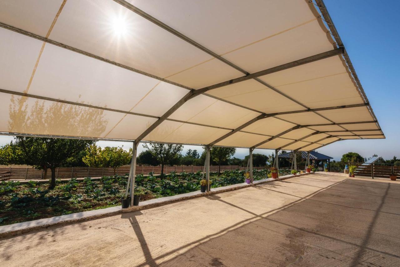 Alonaki Apartments Agios Leon Zewnętrze zdjęcie